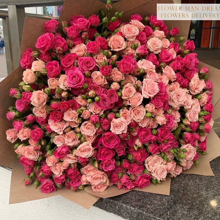 Secret Garden's Enchanted Blooms